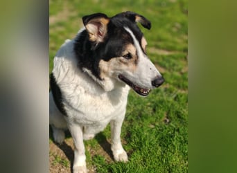 Giangy - Lebens- und Liebesverlängernde Maßnahmen