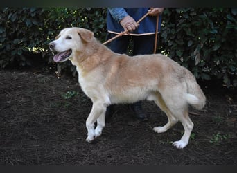 Islay - Menschenherzen-im-Sturm-Eroberer