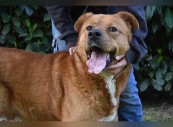 Vivaldo - ...steht vor der falschen Tür