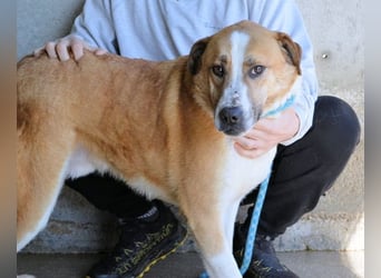 Scotlee - Drei Leben. Drei Chancen.