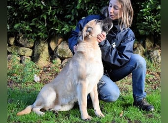 Joonas - wohin führt sein Weg?