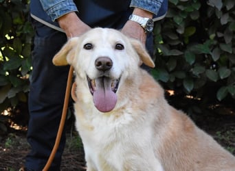 Islay - Menschenherzen-im-Sturm-Eroberer