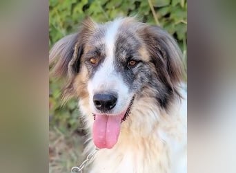 Poncio - wird zum Musterschüler