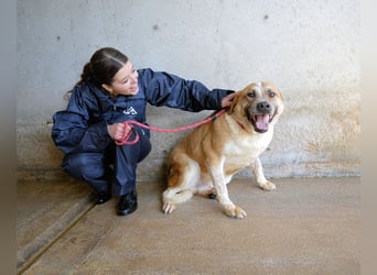 Savery - Drei Leben. Drei Chancen.