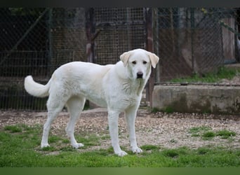 Clara - geht ihren Weg weiter