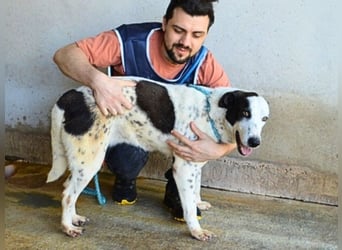 Arleene - ist voll bedingungsloser Liebe