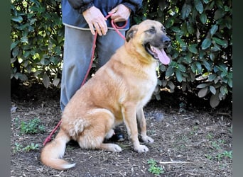 Anthaniel - Groß genug für "Wow" - zu charmant für "Weiter".