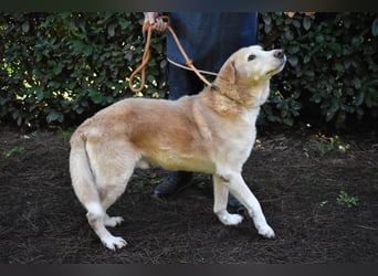 Islay - Menschenherzen-im-Sturm-Eroberer