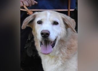 Islay - Menschenherzen-im-Sturm-Eroberer