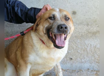 Savery - Drei Leben. Drei Chancen.