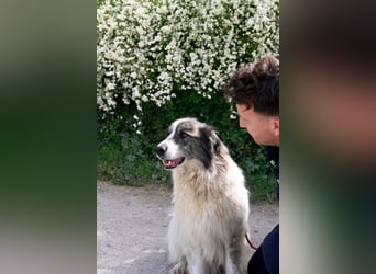 Poncio - wird zum Musterschüler