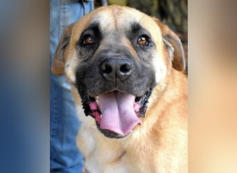 Joonas - wohin führt sein Weg?