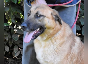 Anthaniel - Groß genug für "Wow" - zu charmant für "Weiter".