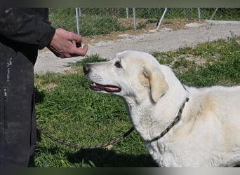 Clara - geht ihren Weg weiter