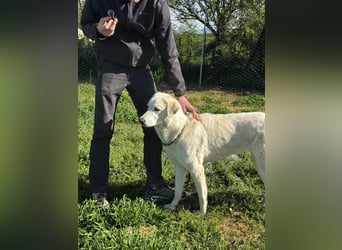 Clara - geht ihren Weg weiter