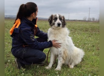 Poncio - wird zum Musterschüler