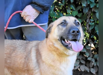 Anthaniel - Groß genug für "Wow" - zu charmant für "Weiter".