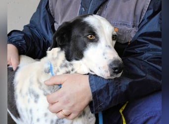 Arleene - ist voll bedingungsloser Liebe