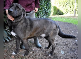 Godfried - When the night has come