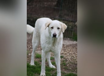 Clara - geht ihren Weg weiter