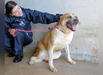 Savery - Drei Leben. Drei Chancen.