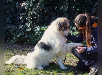 Poncio - wird zum Musterschüler
