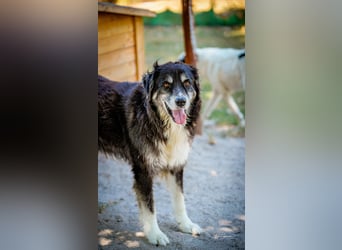 Kuno - Ein Ende in Sicht?