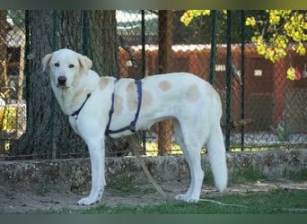 Clara - geht ihren Weg weiter