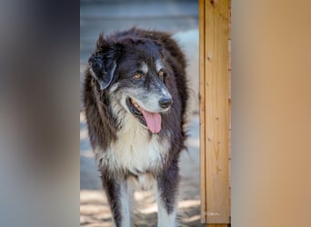 Kuno - Ein Ende in Sicht?