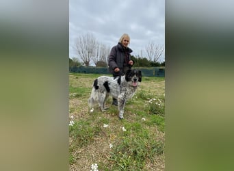 Ray - Zeig mir die Welt außerhalb des Zwingers...