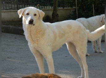 Clara - geht ihren Weg weiter