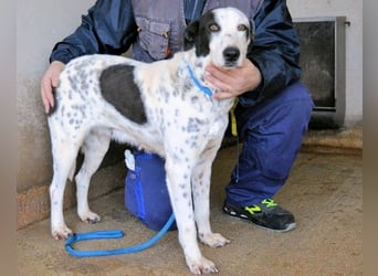 Arleene - ist voll bedingungsloser Liebe