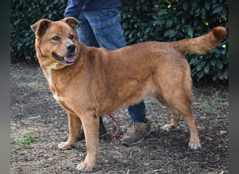 Vivaldo - ...steht vor der falschen Tür