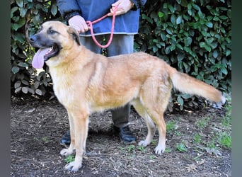 Anthaniel - Groß genug für "Wow" - zu charmant für "Weiter".