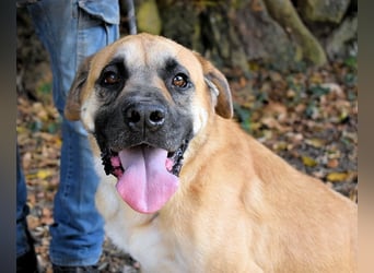 Joonas - wohin führt sein Weg?