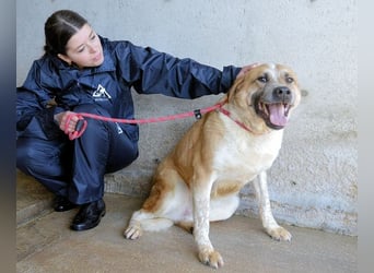 Savery - Drei Leben. Drei Chancen.