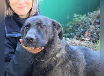 Godfried - When the night has come