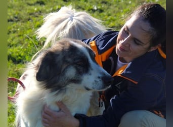 Poncio - wird zum Musterschüler