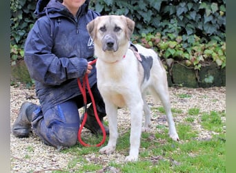 Skitter - Im gedimmten Licht, vor einer geschlossenen Tür