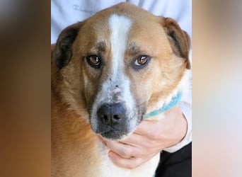 Scotlee - Drei Leben. Drei Chancen.