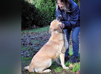 Joonas - wohin führt sein Weg?