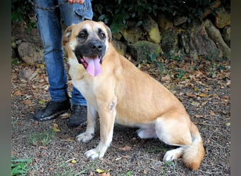 Joonas - wohin führt sein Weg?