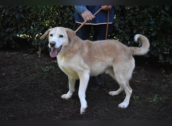 Islay - Menschenherzen-im-Sturm-Eroberer