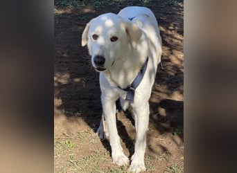 Clara - geht ihren Weg weiter