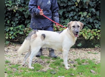 Skitter - Im gedimmten Licht, vor einer geschlossenen Tür