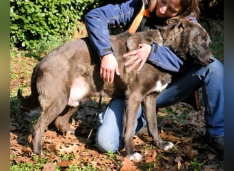 Godfried - When the night has come