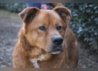 Vivaldo - ...steht vor der falschen Tür