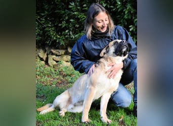 Joonas - wohin führt sein Weg?