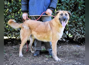 Anthaniel - Groß genug für "Wow" - zu charmant für "Weiter".