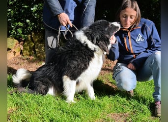 Frasio - Wenn Lebendigkeit zum Verhängnis wird